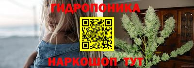 apvp Долгопрудный