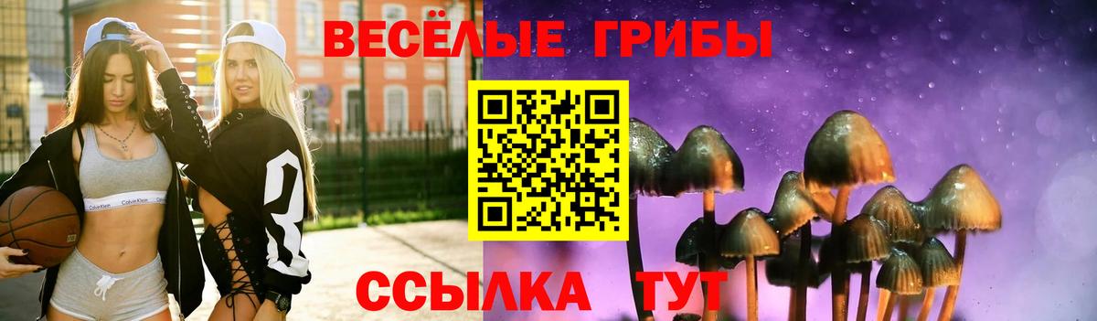 что такое   Вход с VPN  Назрань  Галлюциногенные грибы Psilocybine cubensis 